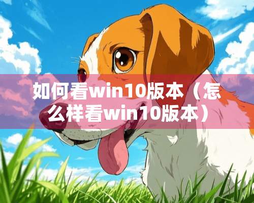 如何看win10版本（怎么样看win10版本）