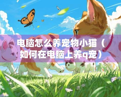 电脑怎么养宠物小猫（如何在电脑上养q宠）