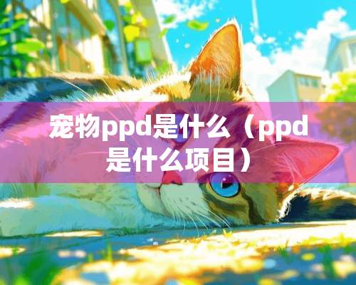 宠物ppd是什么（ppd是什么项目）