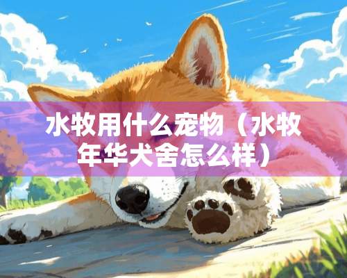 水牧用什么宠物（水牧年华犬舍怎么样）