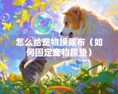 怎么给宠物换尿布（如何固定宠物尿垫）