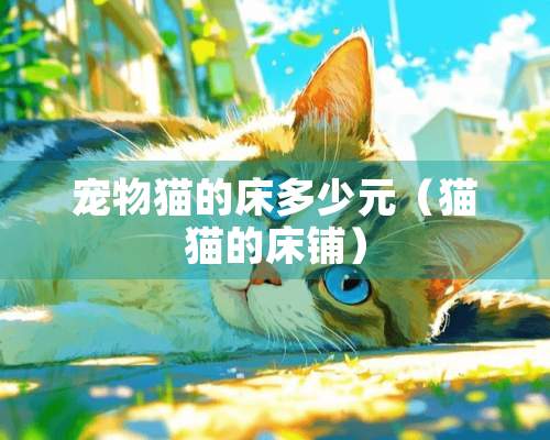 宠物猫的床多少元（猫猫的床铺）