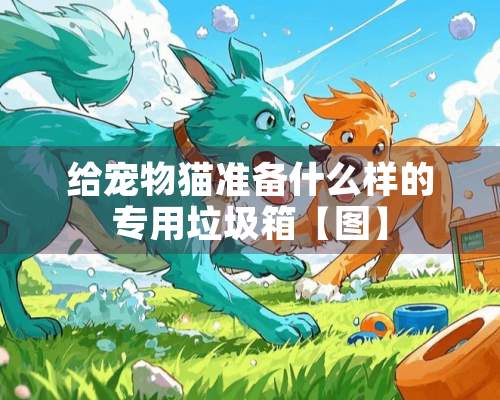 给宠物猫准备什么样的专用垃圾箱【图】