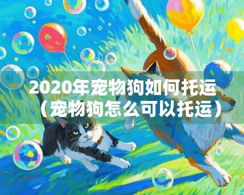 2020年宠物狗如何托运（宠物狗怎么可以托运）