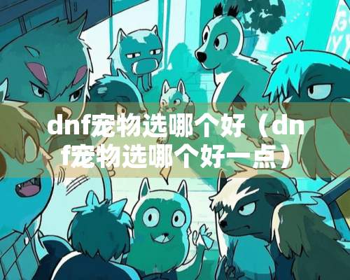 dnf宠物选哪个好（dnf宠物选哪个好一点）