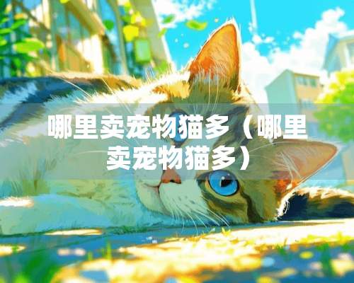 哪里卖宠物猫多（哪里卖宠物猫多）