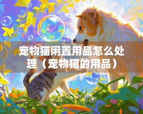 宠物猫闲置用品怎么处理（宠物猫的用品）