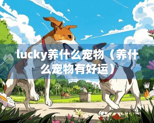 lucky养什么宠物（养什么宠物有好运）