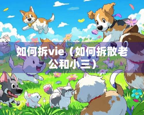 如何拆vie（如何拆散老公和小三）