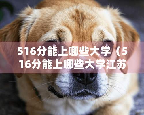 516分能上哪些大学（516分能上哪些大学江苏）