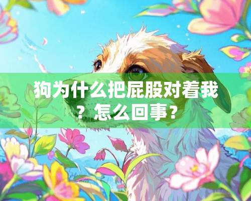 狗为什么把**对着我？怎么回事？