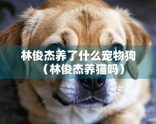 林俊杰养了什么宠物狗（林俊杰养猫吗）