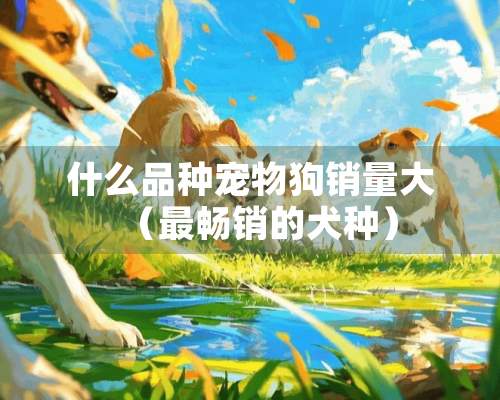 什么品种宠物狗销量大（最畅销的犬种）