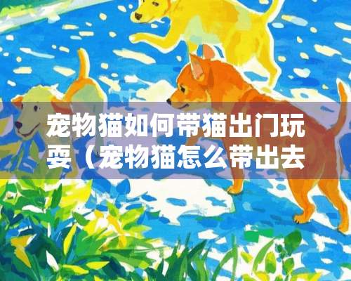 宠物猫如何带猫出门玩耍（宠物猫怎么带出去玩）