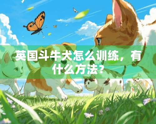 英国斗牛犬怎么训练，有什么方法？