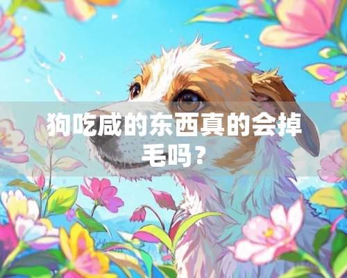 狗吃咸的东西真的会掉毛吗？