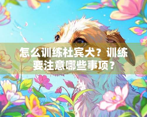 怎么训练杜宾犬？训练要注意哪些事项？