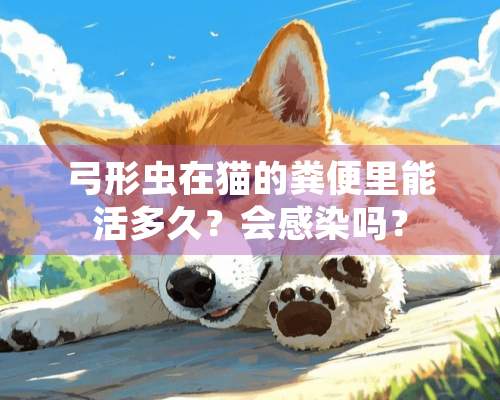 弓形虫在猫的粪便里能活多久？会感染吗？