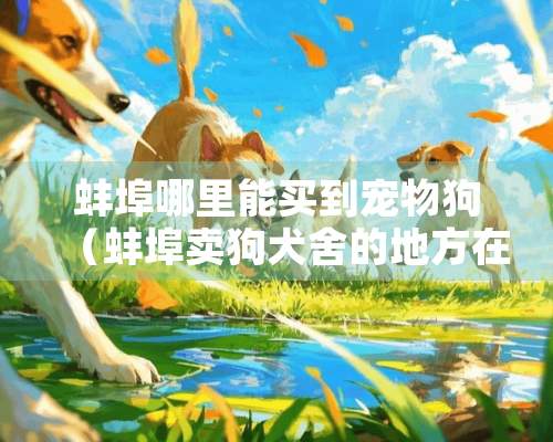 蚌埠哪里能买到宠物狗（蚌埠卖狗犬舍的地方在哪）