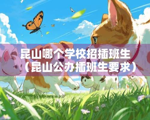 昆山哪个学校招插班生（昆山公办插班生要求）