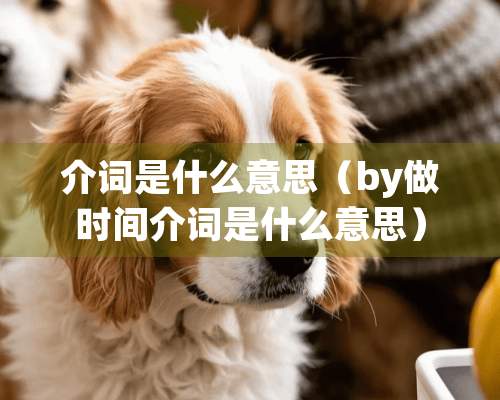 介词是什么意思（by做时间介词是什么意思）