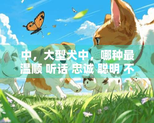 中，大型犬中，哪种最温顺 听话 忠诚 聪明 不爱叫 不咬人 适合家养？