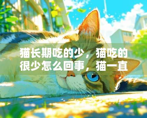 猫长期吃的少，猫吃的很少怎么回事，猫一直都吃很少