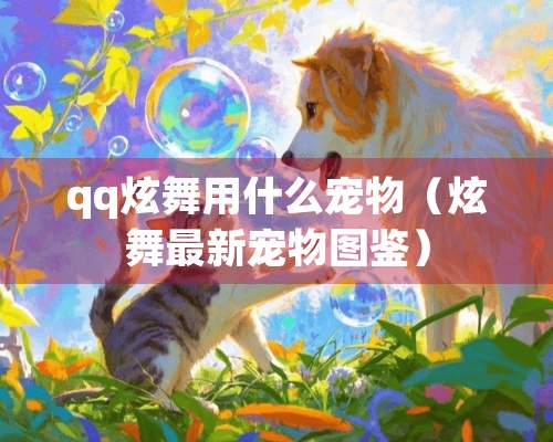 qq炫舞用什么宠物（炫舞最新宠物图鉴）