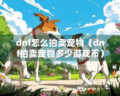 dnf怎么拍卖宠物（dnf拍卖宠物多少游戏币）