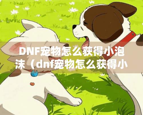 DNF宠物怎么获得小泡沫（dnf宠物怎么获得小泡沫装备）