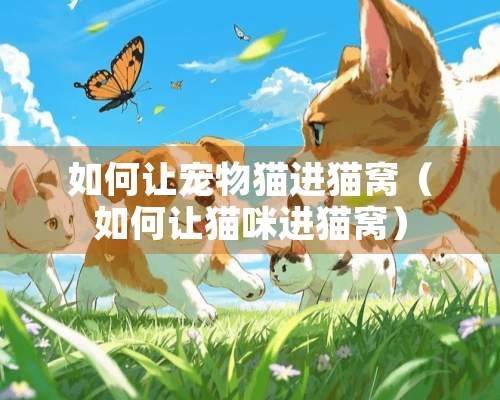 如何让宠物猫进猫窝（如何让猫咪进猫窝）