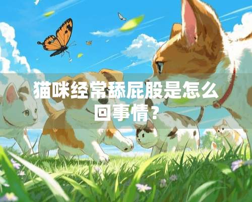 猫咪经常舔**是怎么回事情？