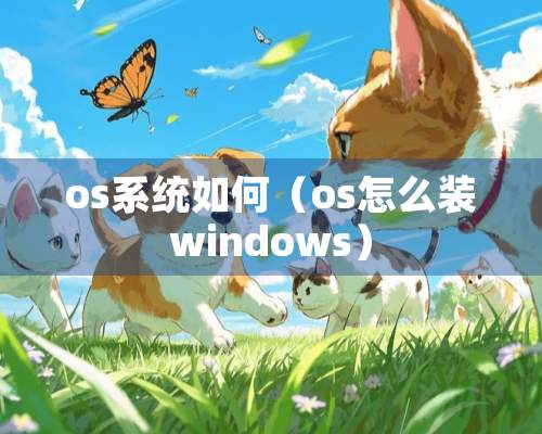 os系统如何（os怎么装windows）