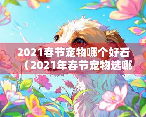 2021春节宠物哪个好看（2021年春节宠物选哪个）