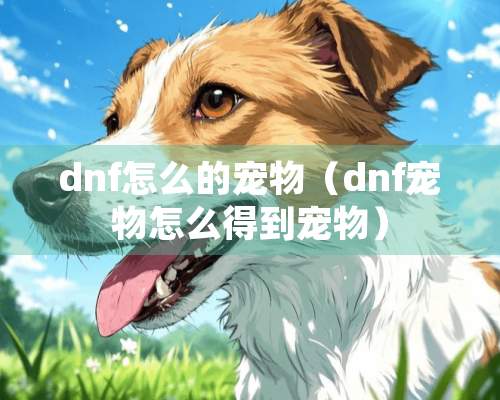 dnf怎么的宠物（dnf宠物怎么得到宠物）