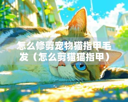 怎么修剪宠物猫指甲毛发（怎么剪猫猫指甲）