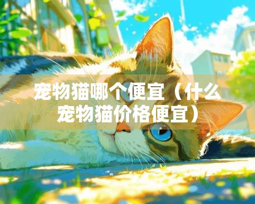 宠物猫哪个便宜（什么宠物猫价格便宜）