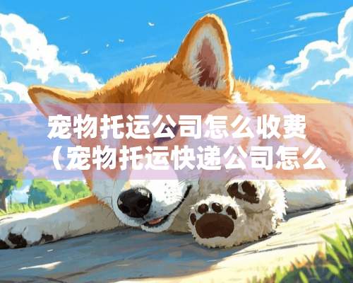 宠物托运公司怎么收费（宠物托运快递公司怎么收费）