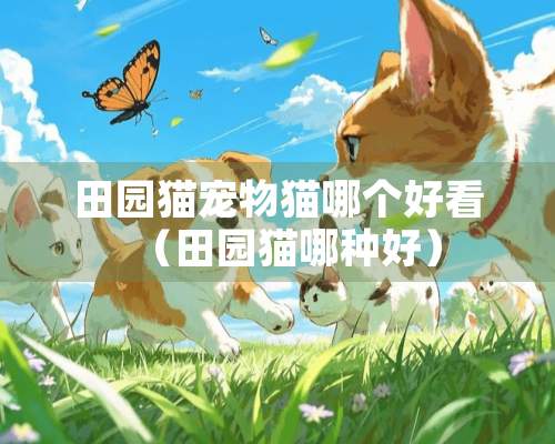 田园猫宠物猫哪个好看（田园猫哪种好）