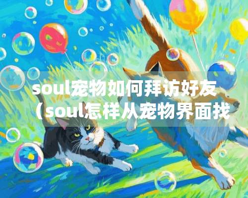 soul宠物如何拜访好友（soul怎样从宠物界面找用户）