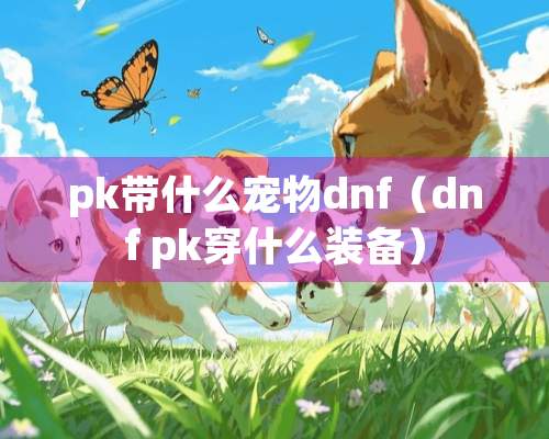 pk带什么宠物dnf（dnf pk穿什么装备）