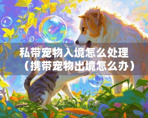 私带宠物入境怎么处理（携带宠物出境怎么办）