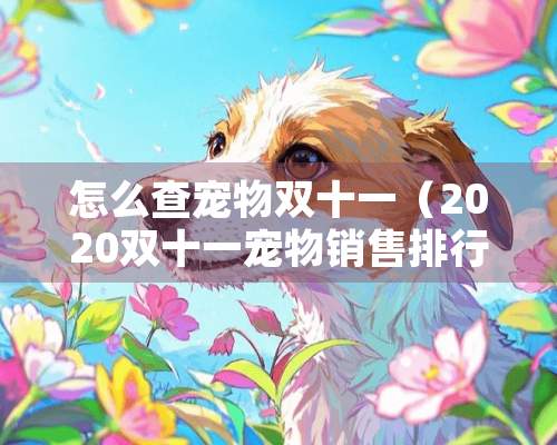 怎么查宠物双十一（2020双十一宠物销售排行）