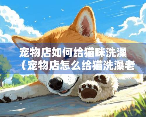 宠物店如何给猫咪洗澡（宠物店怎么给猫洗澡老老实实的）