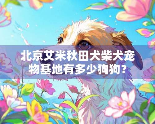 北京艾米秋田犬柴犬宠物基地有多少狗狗？