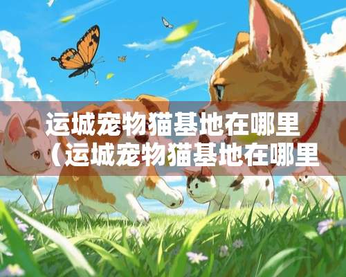 运城宠物猫基地在哪里（运城宠物猫基地在哪里啊）