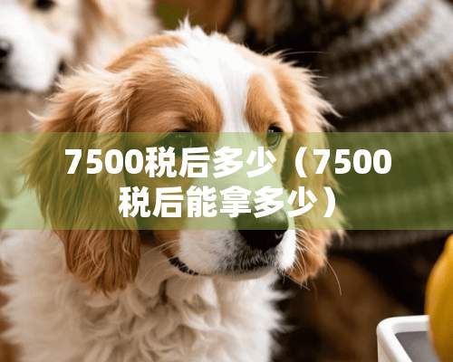 7500税后多少（7500税后能拿多少）