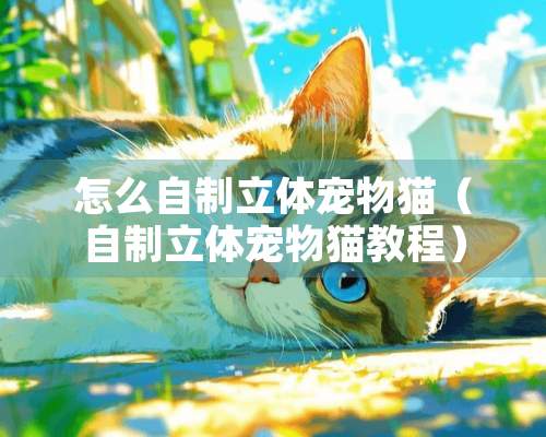 怎么自制立体宠物猫（自制立体宠物猫教程）