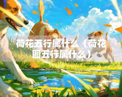 荷花五行属什么（荷花图五行属什么）