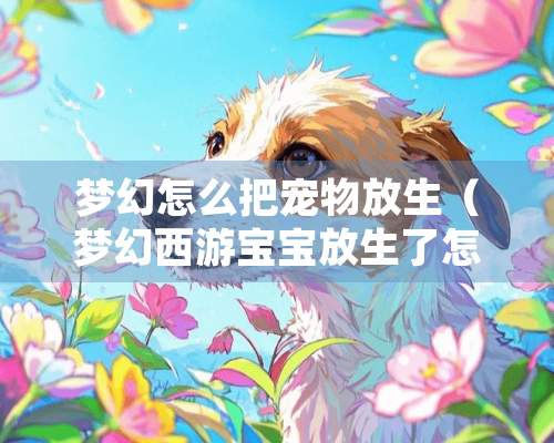 梦幻怎么把宠物放生（梦幻西游宝宝放生了怎么找回来）